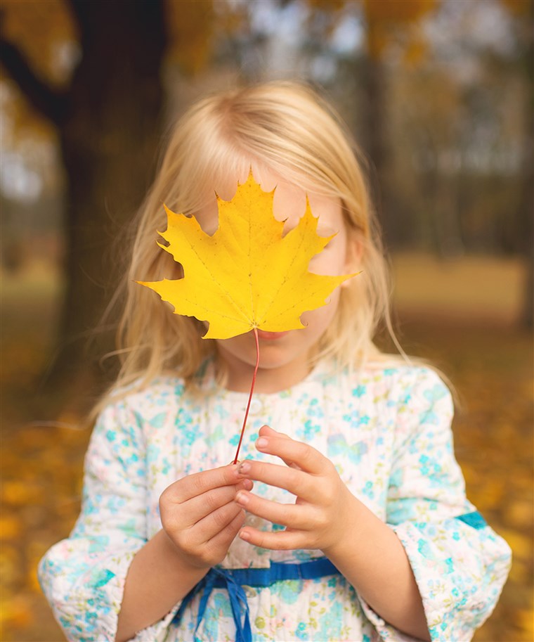 מאפשר your child to find the biggest leaf she can, then hide her face behind it is one of Wilkerson's suggestions for interesting leaf pile photos.