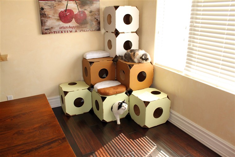 תן your cat the perfect stimulation with these American-made boxes.