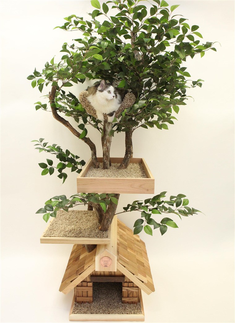 enged your cat explore their wild side with these trees.
