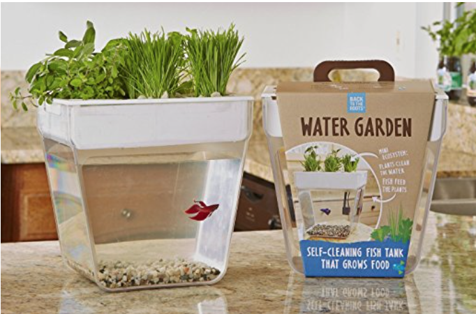 ठंडा mothers day gifts fish tank