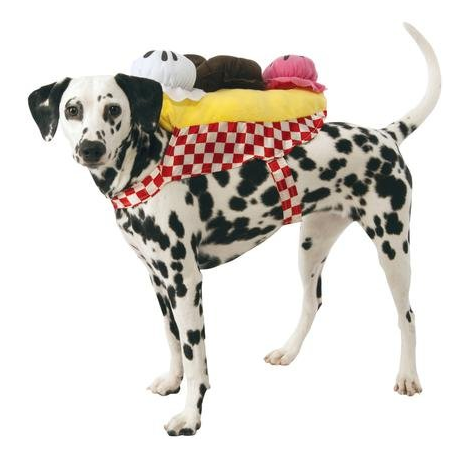 Led cream dog Halloween costume
