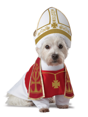 पोप dog Halloween costume