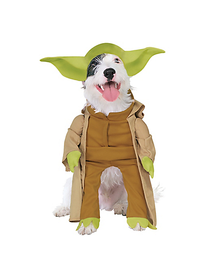योदा dog Halloween costume