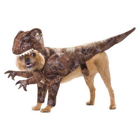 डायनासोर dog Halloween costume