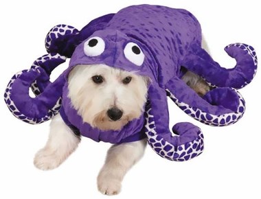 ऑक्टोपस dog Halloween costume