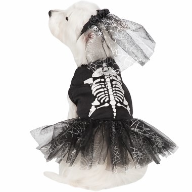 Kostur dog Halloween costume