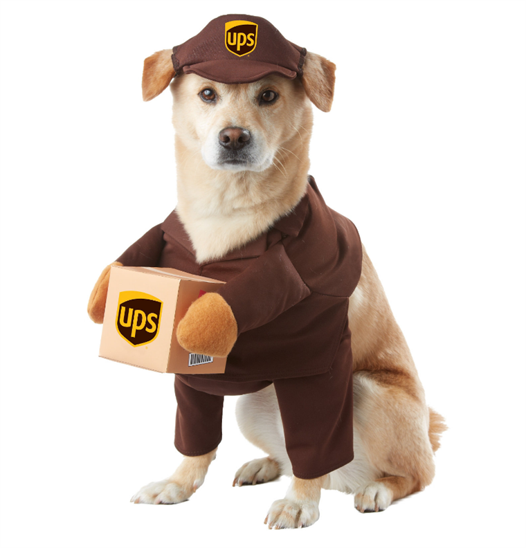 यूपीएस dog Halloween costume