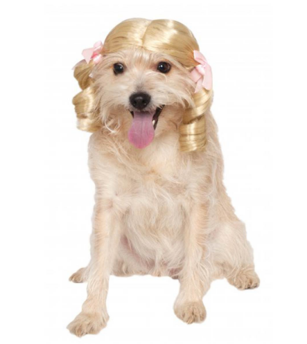 गोरा wig dog Halloween costume