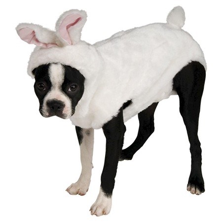 करगोश dog Halloween costume