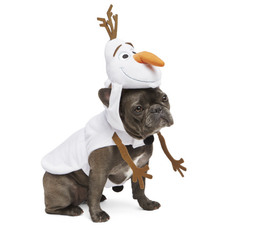 ओलाफ dog Halloween costume