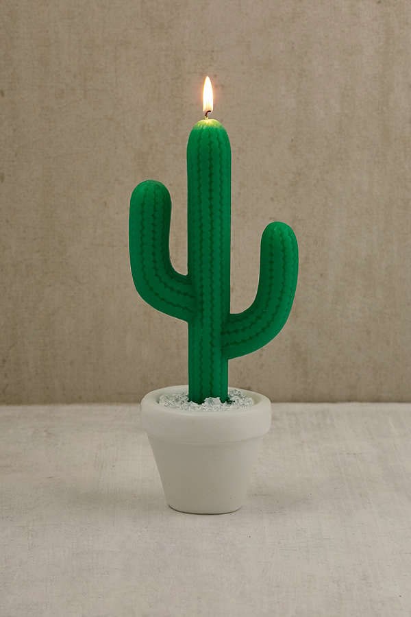 Kaktus Candle
