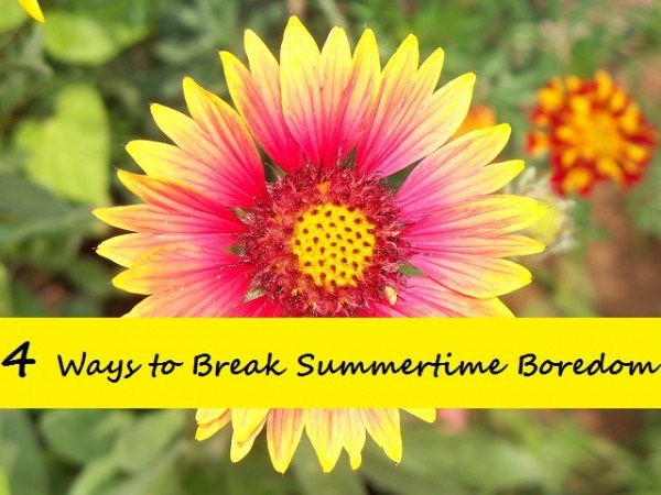Dr. Trevicia Williams' four tips for banishing summer boredom