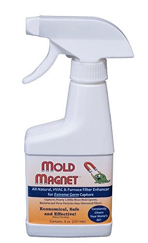 स्वस्थ Home Mold Magnet