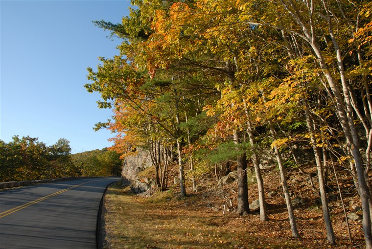 अक्टूबर sunlight along the Loop Road in Acadia