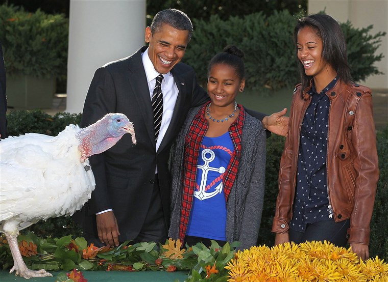 תמונה: President Obama Pardons Thanksgiving Turkey At White House