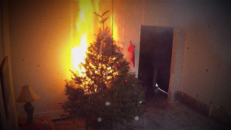 רוזן Reports Christmas tree fires