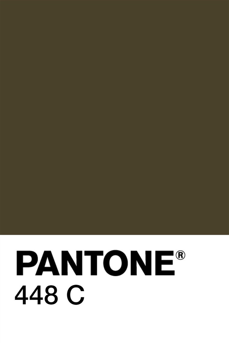 Pantone chip - 448C