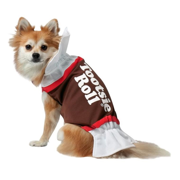 טוטסי Roll Dog Costume