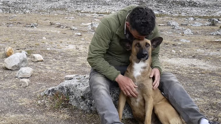 סטיב-או rescues street dog in Peru