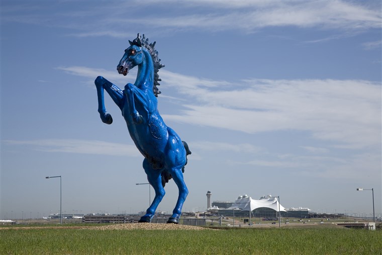 अमेरिका देश का जंगली घोड़ा sculpture