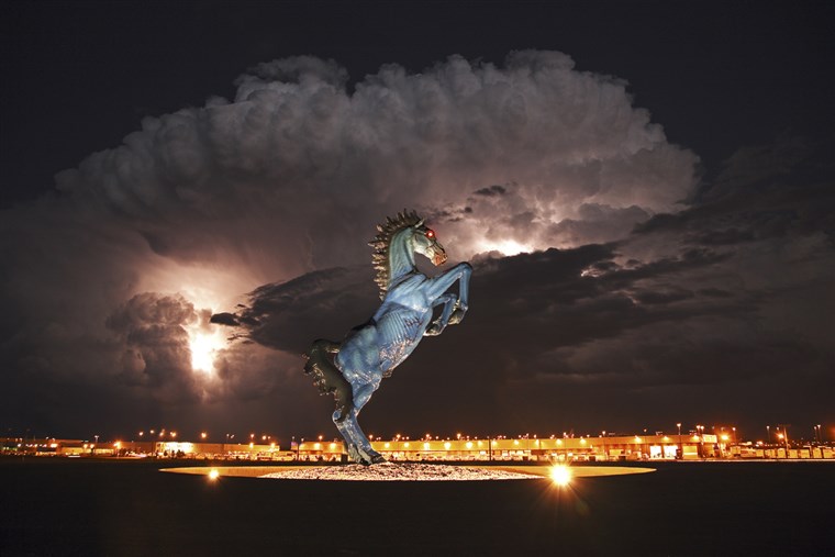 अमेरिका देश का जंगली घोड़ा sculpture