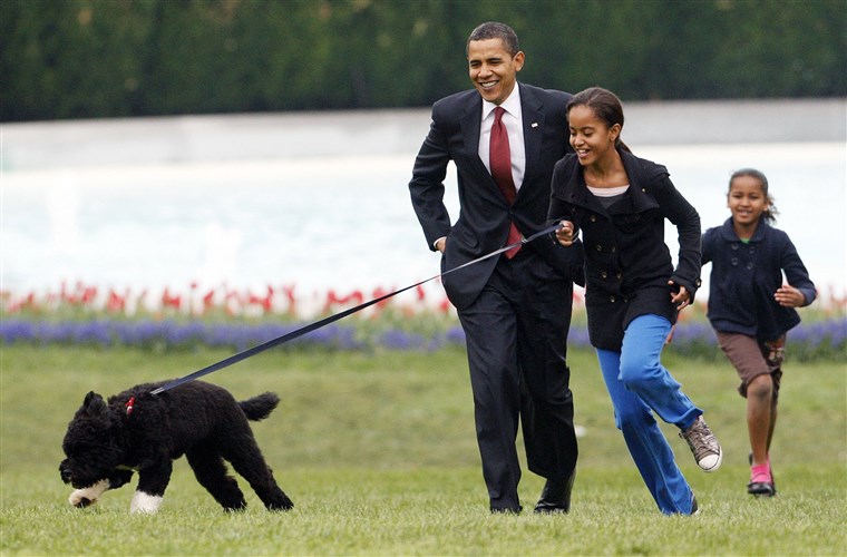 Malija Obama runs with Bo, followed by her dad and sister, Sasha, on the South Lawn of the White House on April 14, 2009. 