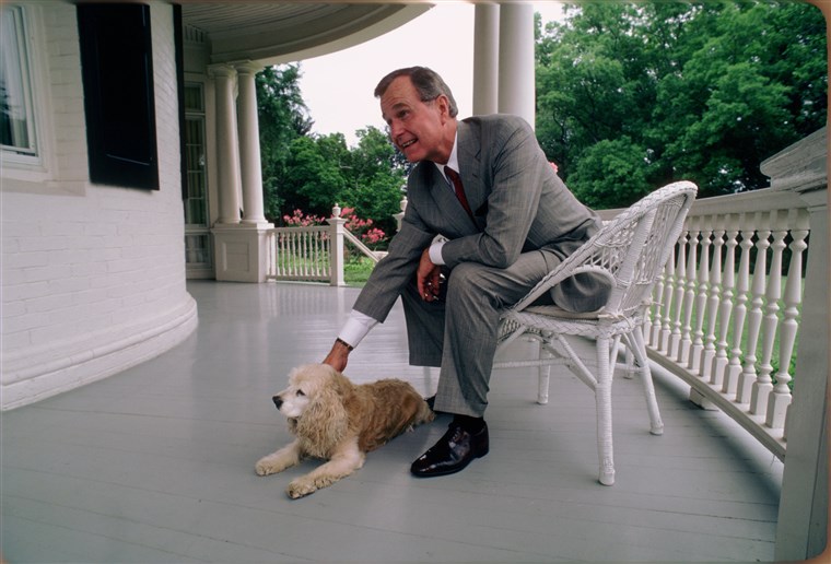 छवि: Vice President George H.W. Bush with His Dog at the Vice President's Residence