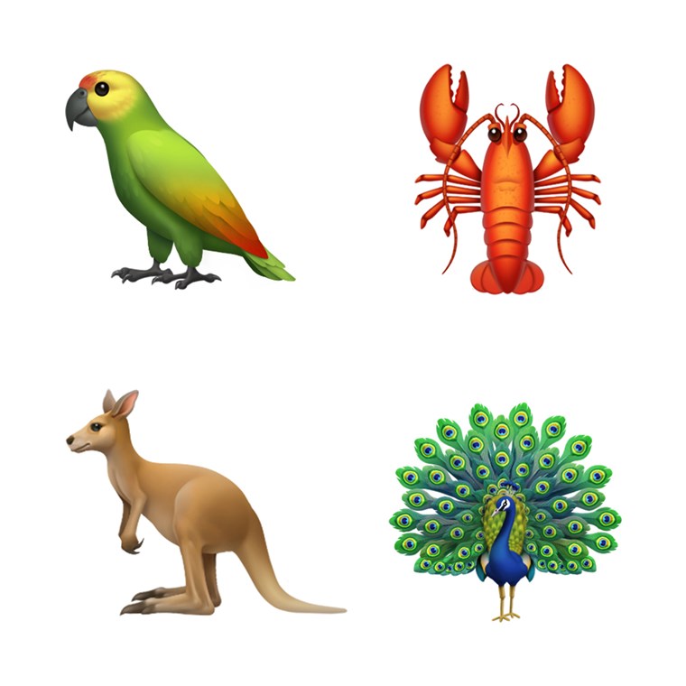 Papagájok, lobsters, kangaroos and peacocks are coming soon. 