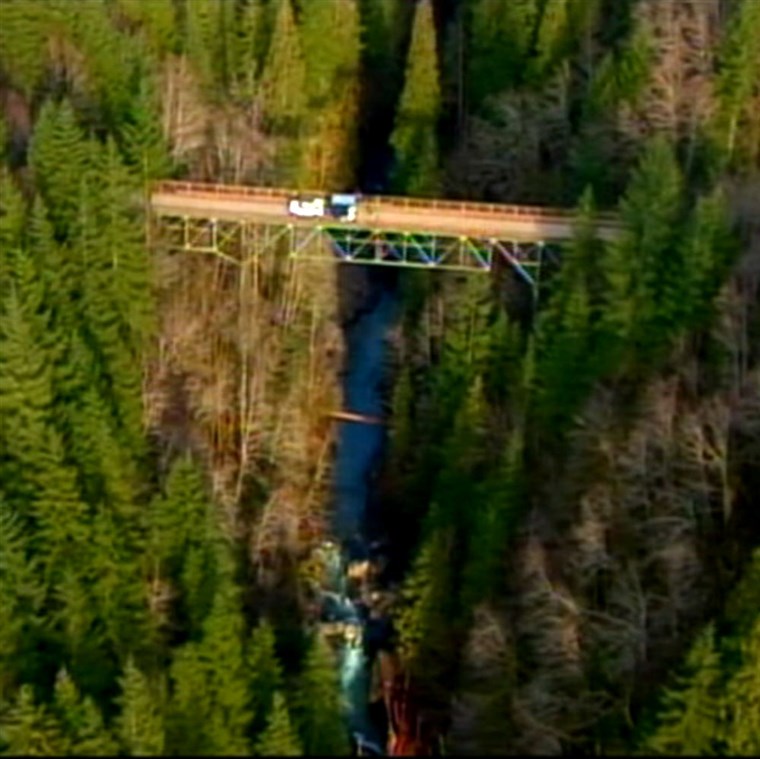 छवि: bungee jumping bridge