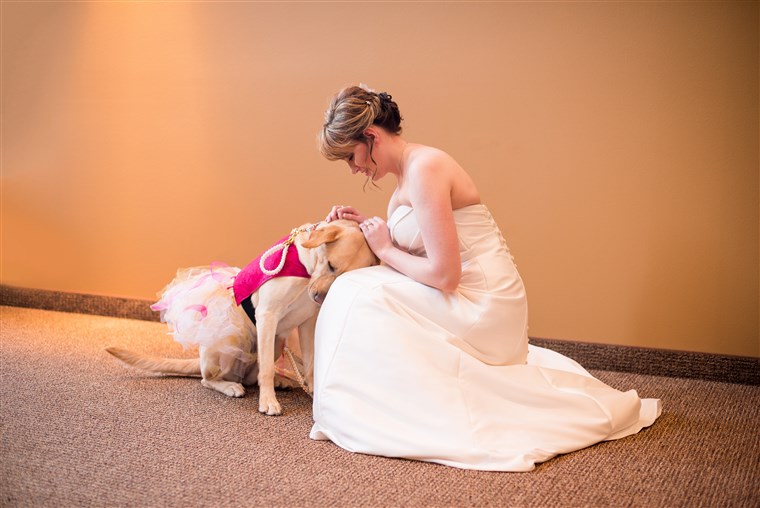 לא כולל: Service dog Bella calms down bride on wedding day