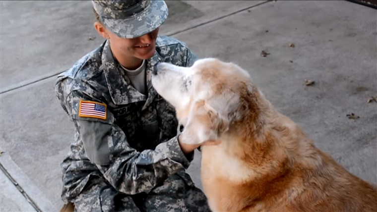 חייל Coming Home; Dog's Reaction