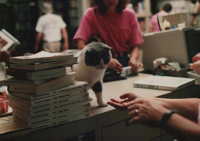 בייקר and Taylor library cats