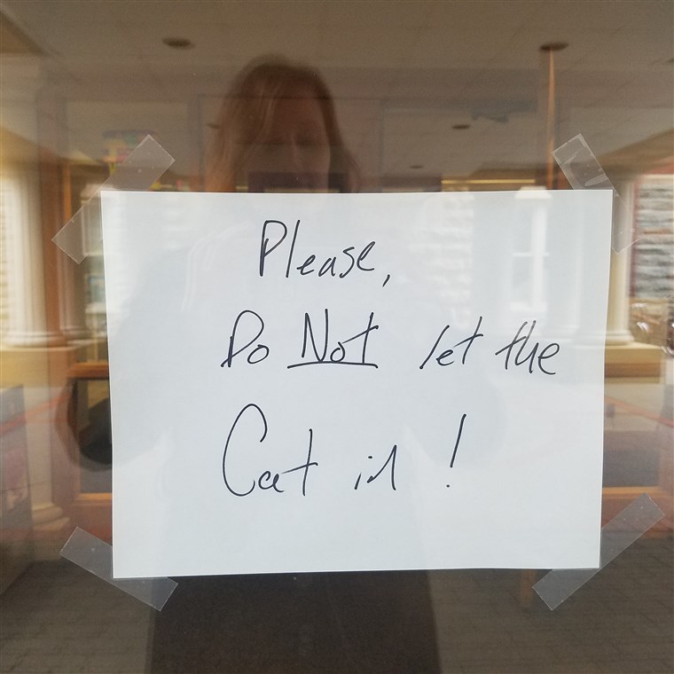 מקסימלי the cat banned from library