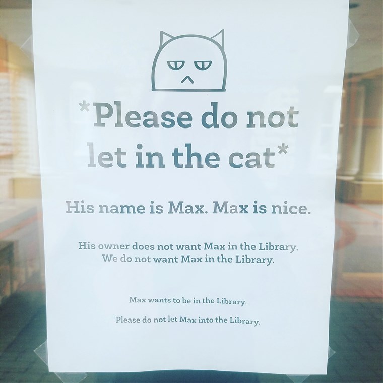 मैक्स the cat banned from library
