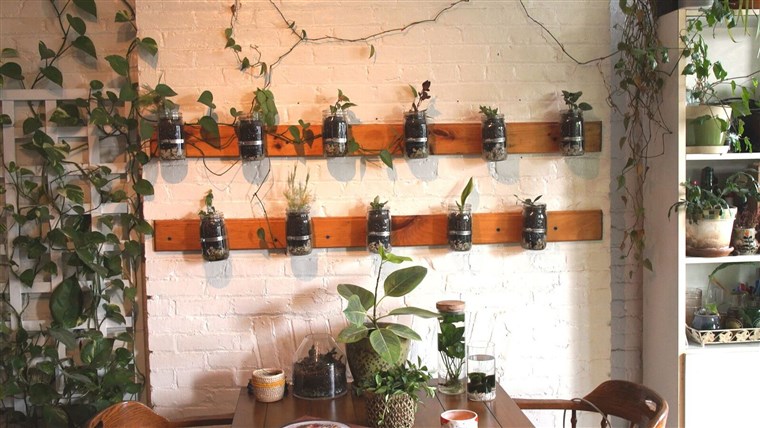 ओक्स' Mason jar garden was her first DIY project with her father.