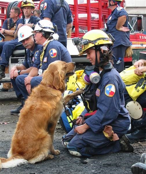 डेनिस Corliss and search dog Bretagne at Ground Zero in New York City in September 2001.