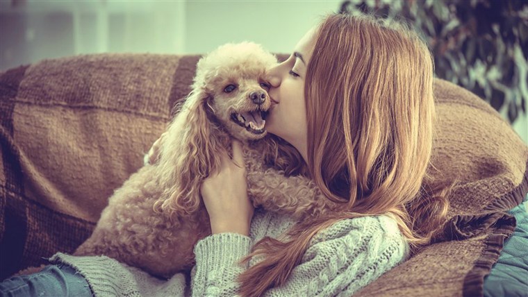 כלבים may provide more than companionship. They may provide serious health benefits, too.
