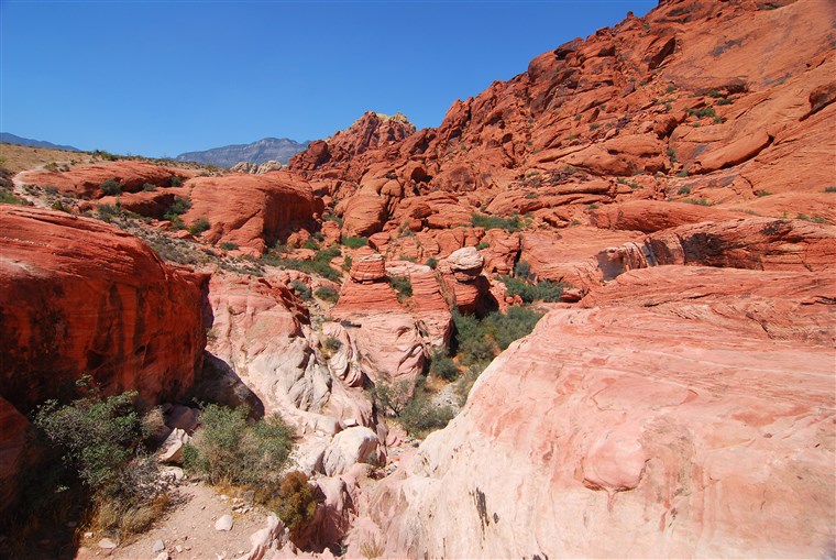 लाल Rock Canyon, Nevada