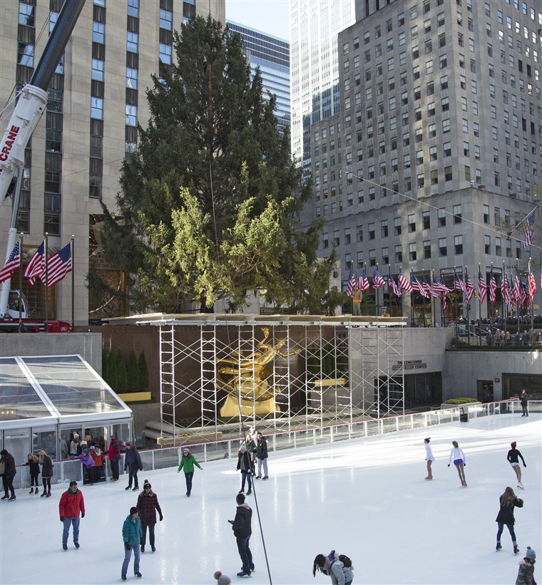  Rockefeller Center Christmas tree will be on display until Jan. 7, 2023.