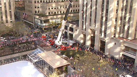 Ovaj year's Rockefeller Center Christmas tree weighs nearly 13 tons!