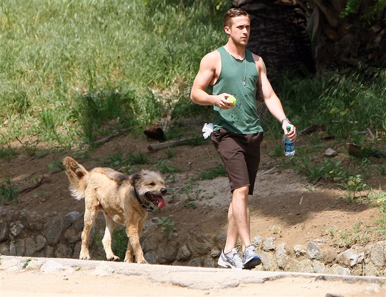 בלעדי: Ryan Gosling goes hiking with his dog in Los Angeles