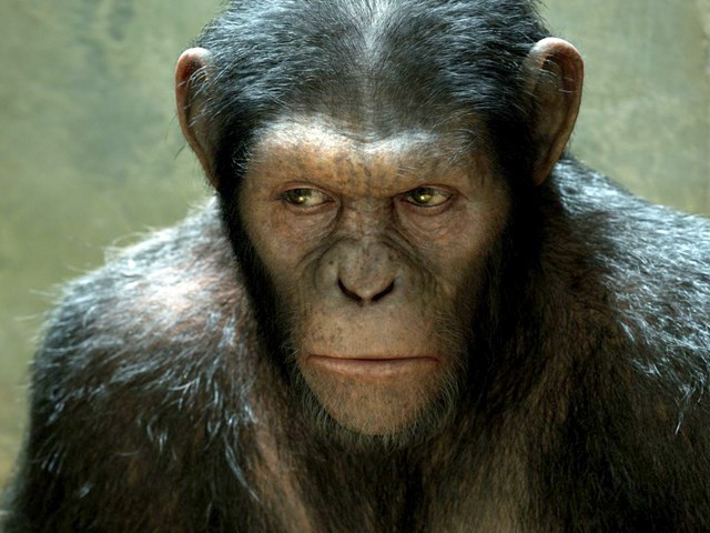 SLIKA: Rise of the Planet of the Apes