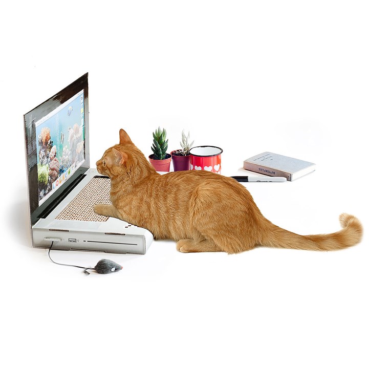 लैपटॉप Cat Scratching Pad