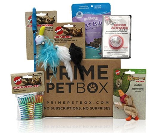 प्रधान Pet Box Premium Cat Gift Box