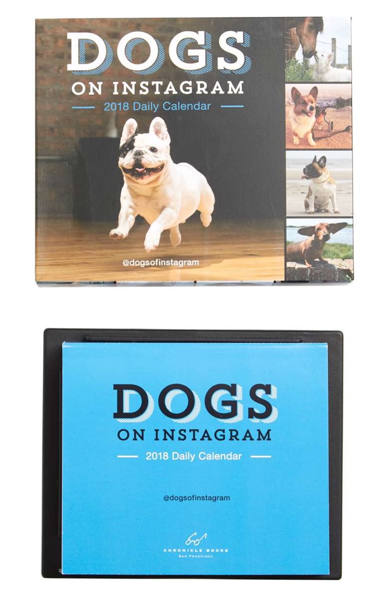 כלבים of Instagram Calendar