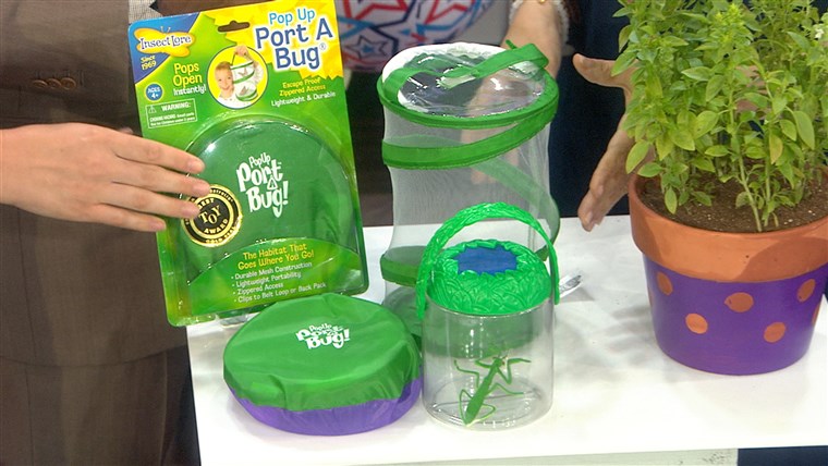 ה Insect Lore Pop-Up Port-a-Bug is a cool, inexpensive gift for nature-loving kids. Just be sure to let the bugs go! 