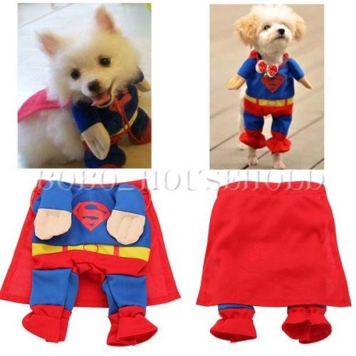 कुत्ते की dressed up as Superman is a halloween costume favorite