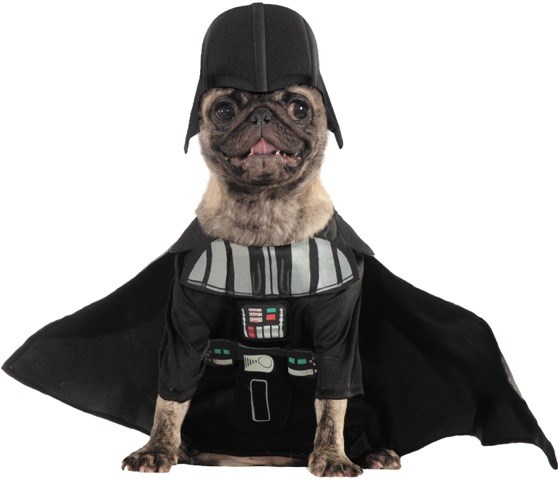 वर्ण from Star Wars: The Force Awakens are popular pet costumes