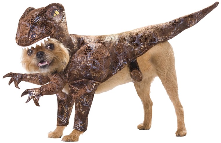 कुत्ते की can blend into Jurassic World with these dinosaur halloween pet costumes