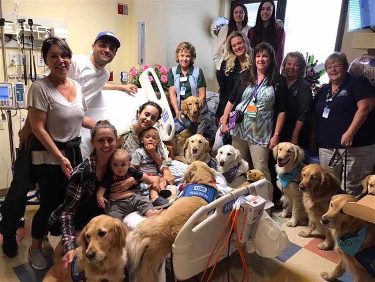 एल सी सी K-9 Comfort Dogs These are trained Comfort Dogs for @lccharities. They interact with people at churches, hospitals, events and in disaster situations.